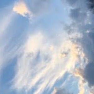 Meet your Posher, Corinne